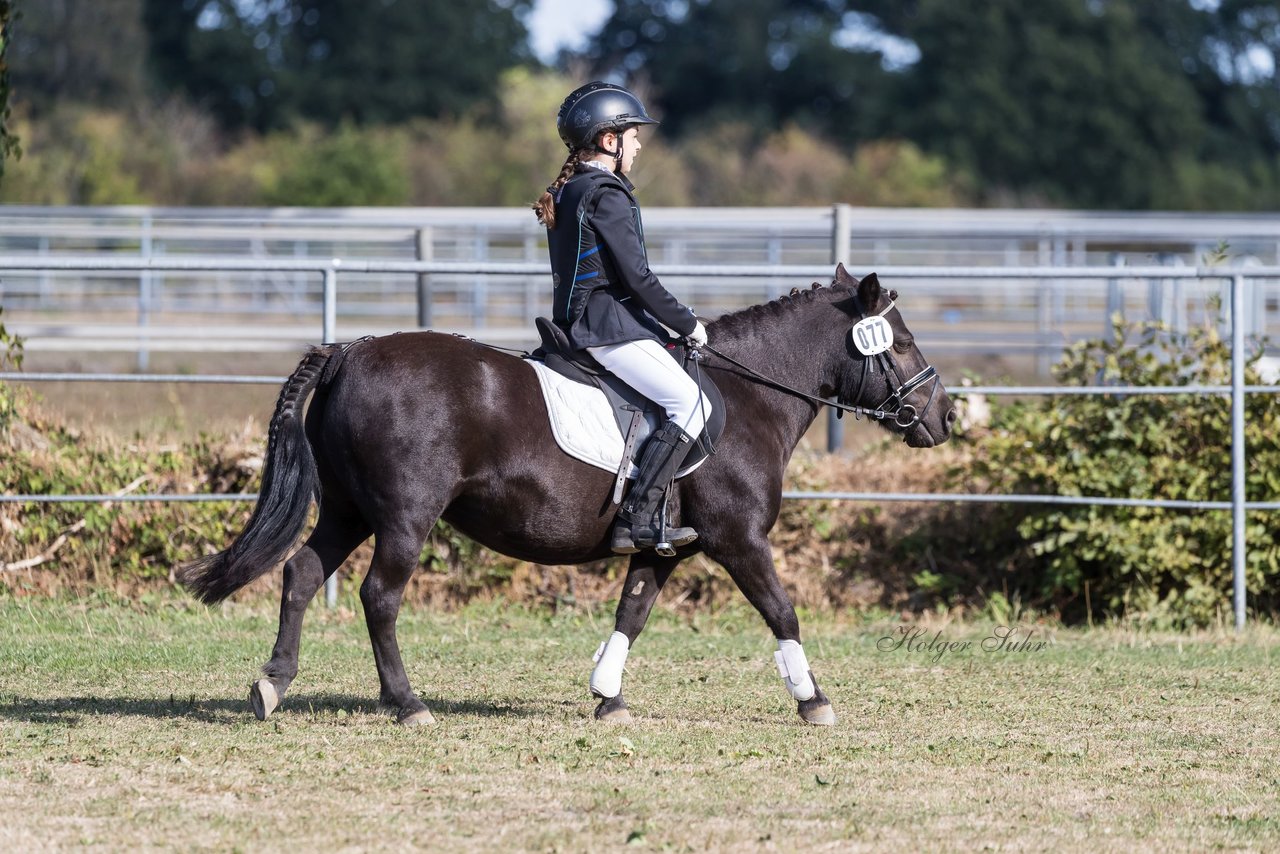 Bild 163 - Pony Akademie Turnier